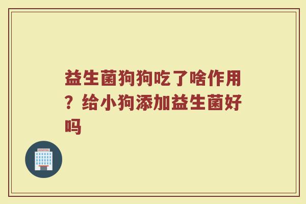 益生菌狗狗吃了啥作用？给小狗添加益生菌好吗