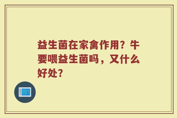 益生菌在家禽作用？牛要喂益生菌吗，又什么好处？