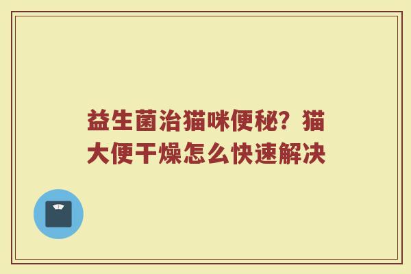 益生菌治猫咪便秘？猫大便干燥怎么快速解决