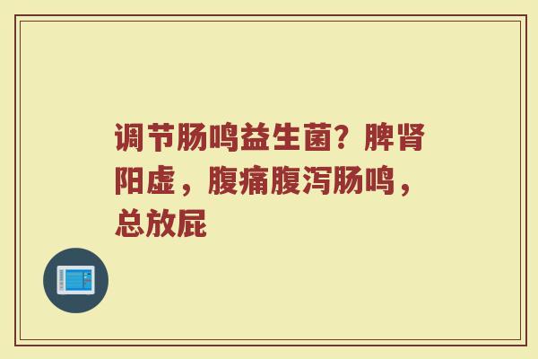 调节肠鸣益生菌?脾阳虚,肠鸣,总放屁 调节肠鸣益生菌?脾阳虚,肠鸣,总放屁