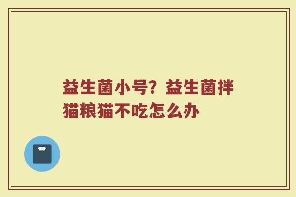 益生菌小号?益生菌拌猫粮猫不吃怎么办 益生菌小号?益生菌拌猫粮猫不吃怎么办