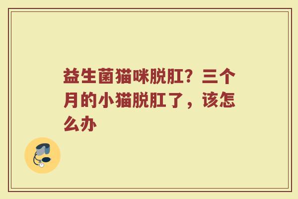 益生菌猫咪脱肛？三个月的小猫脱肛了，该怎么办