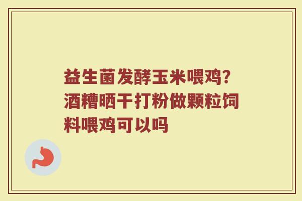 益生菌发酵玉米喂鸡？酒糟晒干打粉做颗粒饲料喂鸡可以吗