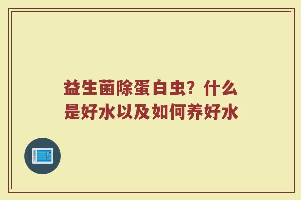 益生菌除蛋白虫？什么是好水以及如何养好水