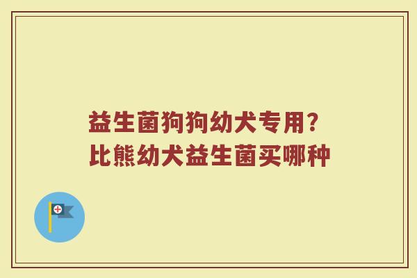 益生菌狗狗幼犬专用？比熊幼犬益生菌买哪种