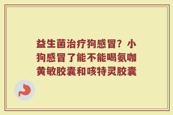 益生菌治疗狗感冒？小狗感冒了能不能喝氨咖黄敏胶囊和咳特灵胶囊