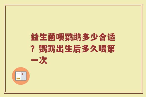 益生菌喂鹦鹉多少合适？鹦鹉出生后多久喂第一次
