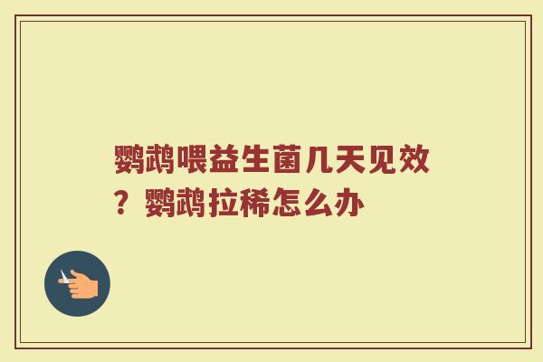 鹦鹉喂益生菌几天见效？鹦鹉拉稀怎么办