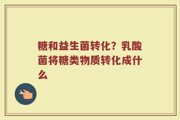 糖和益生菌转化？乳酸菌将糖类物质转化成什么