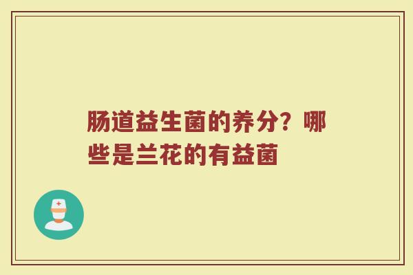 肠道益生菌的养分？哪些是兰花的有益菌