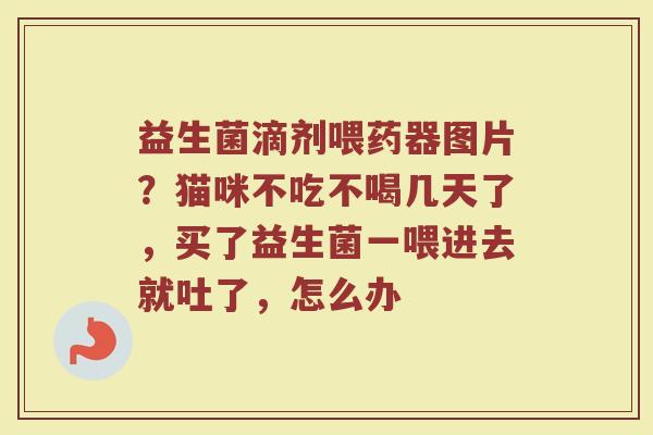 益生菌滴剂喂药器图片？猫咪不吃不喝几天了，买了益生菌一喂进去就吐了，怎么办
