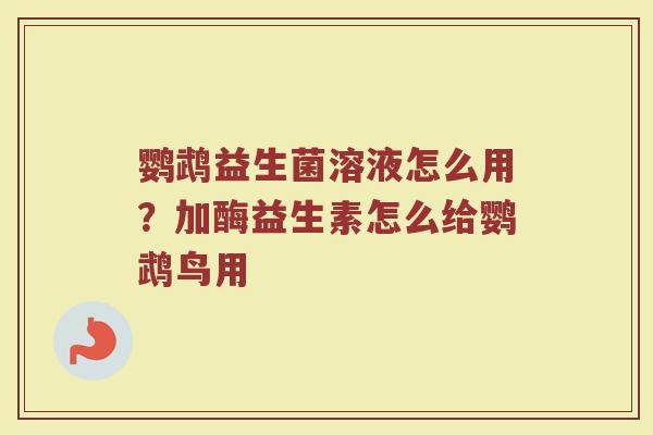 鹦鹉益生菌溶液怎么用？加酶益生素怎么给鹦鹉鸟用