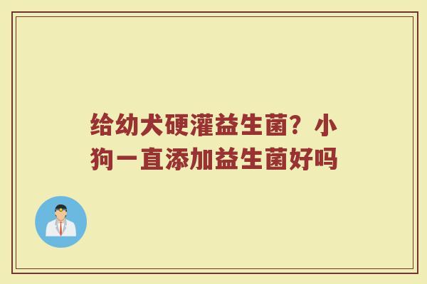 给幼犬硬灌益生菌？小狗一直添加益生菌好吗