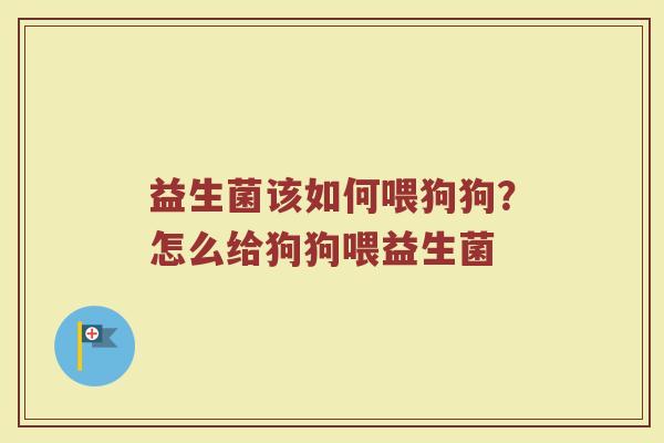 益生菌该如何喂狗狗？怎么给狗狗喂益生菌