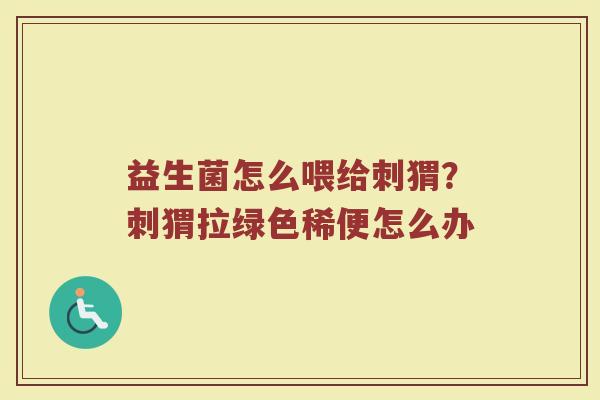 益生菌怎么喂给刺猬？刺猬拉绿色稀便怎么办