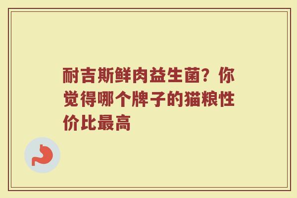 耐吉斯鲜肉益生菌？你觉得哪个牌子的猫粮性价比最高