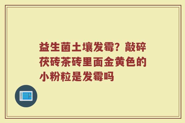 益生菌土壤发霉？敲碎茯砖茶砖里面金黄色的小粉粒是发霉吗