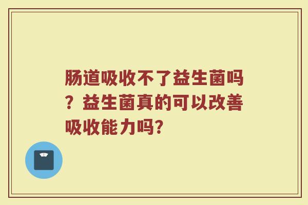 肠道吸收不了益生菌吗？益生菌真的可以改善吸收能力吗？