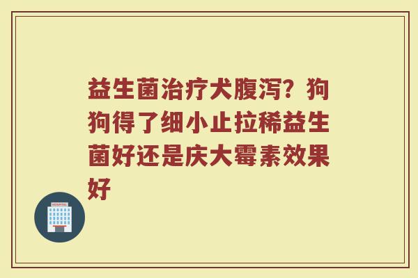 益生菌治疗犬腹泻？狗狗得了细小止拉稀益生菌好还是庆大霉素效果好