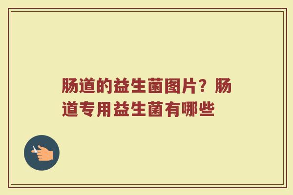 肠道的益生菌图片？肠道专用益生菌有哪些