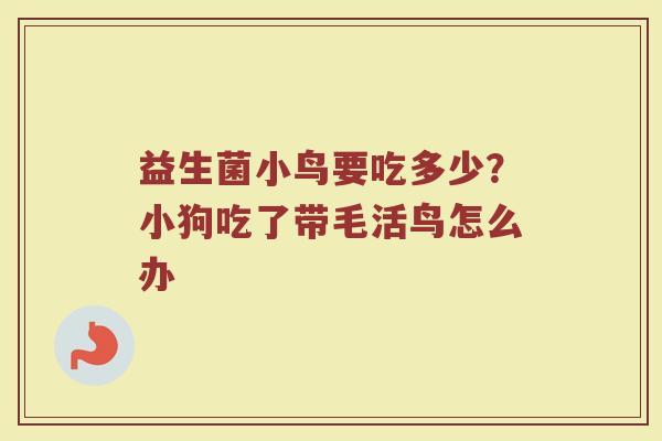 益生菌小鸟要吃多少？小狗吃了带毛活鸟怎么办