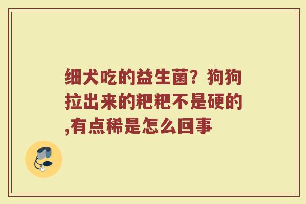 细犬吃的益生菌？狗狗拉出来的粑粑不是硬的,有点稀是怎么回事