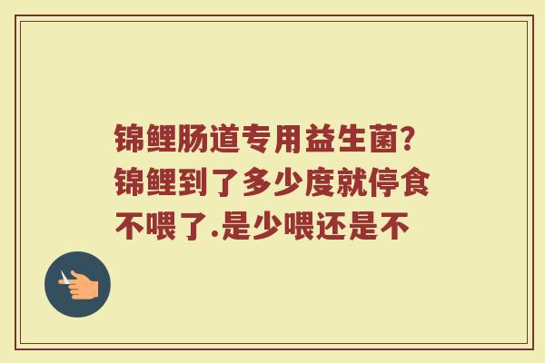 锦鲤肠道专用益生菌？锦鲤到了多少度就停食不喂了.是少喂还是不