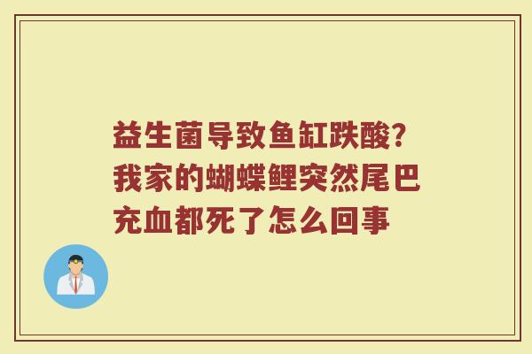 益生菌导致鱼缸跌酸？我家的蝴蝶鲤突然尾巴充血都死了怎么回事