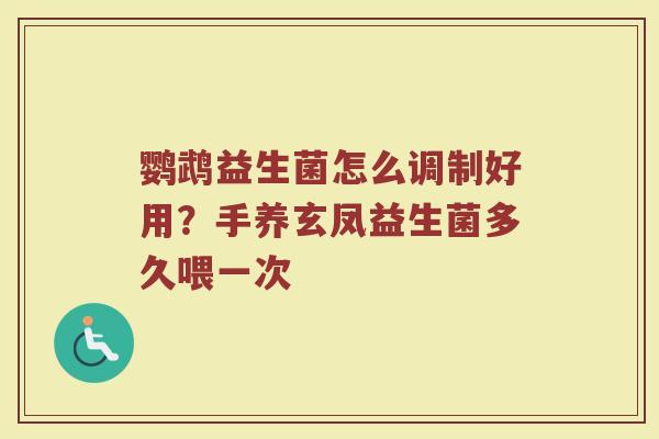 鹦鹉益生菌怎么调制好用？手养玄凤益生菌多久喂一次