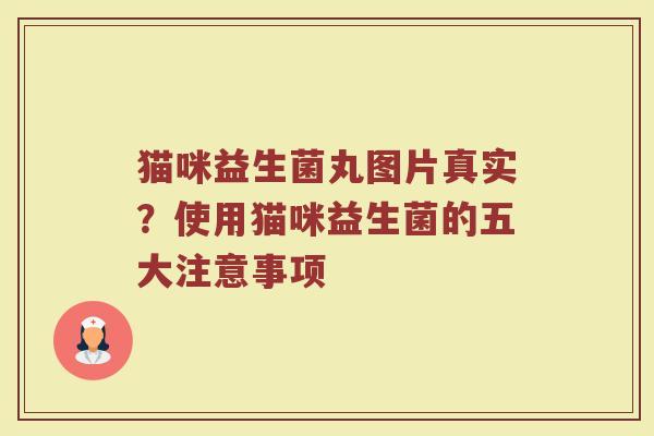 猫咪益生菌丸图片真实?使用猫咪益生菌的五大注意事项 猫咪益生菌丸图片真实?使用猫咪益生菌的五大注意事项