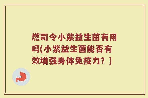 燃司令小紫益生菌有用吗(小紫益生菌能否有效增强身体免疫力？)