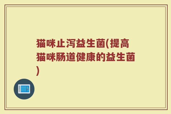猫咪止泻益生菌(提高猫咪肠道健康的益生菌) 猫咪止泻益生菌(提高猫咪肠道健康的益生菌)