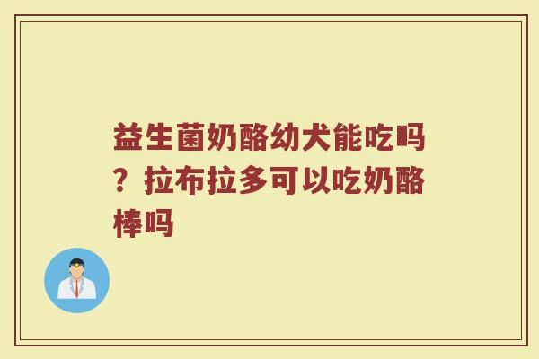 益生菌奶酪幼犬能吃吗？拉布拉多可以吃奶酪棒吗