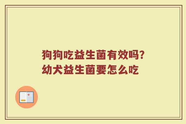 狗狗吃益生菌有效吗？幼犬益生菌要怎么吃