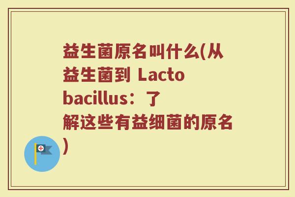 益生菌原名叫什么(从益生菌到 Lactobacillus：了解这些有益细菌的原名)