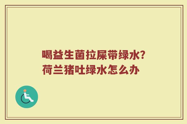 喝益生菌拉屎带绿水？荷兰猪吐绿水怎么办