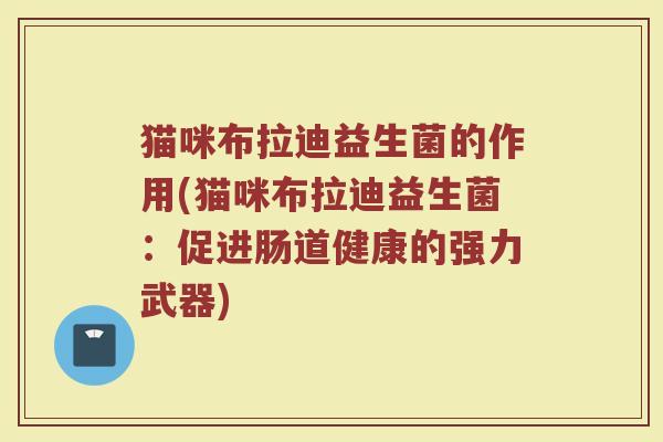 猫咪布拉迪益生菌的作用(猫咪布拉迪益生菌：促进肠道健康的强力武器)