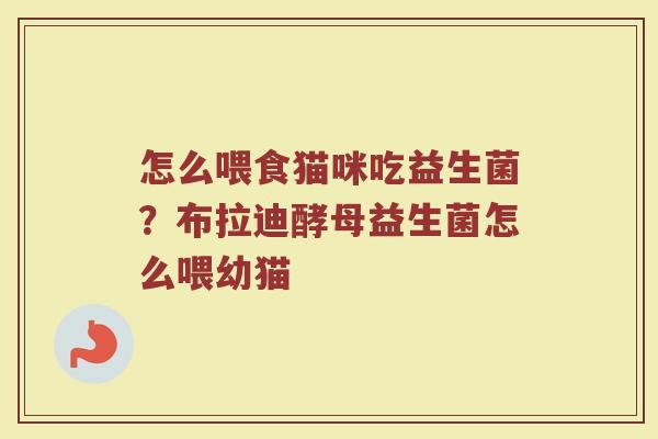 怎么喂食猫咪吃益生菌？布拉迪酵母益生菌怎么喂幼猫
