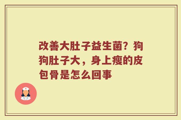 改善大肚子益生菌?狗狗肚子大,身上瘦的皮包骨是怎么回事 改善大肚子益生菌?狗狗肚子大,身上瘦的皮包骨是怎么回事