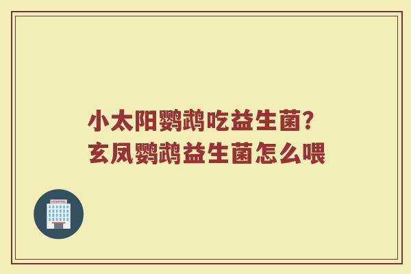 小太阳鹦鹉吃益生菌？玄凤鹦鹉益生菌怎么喂