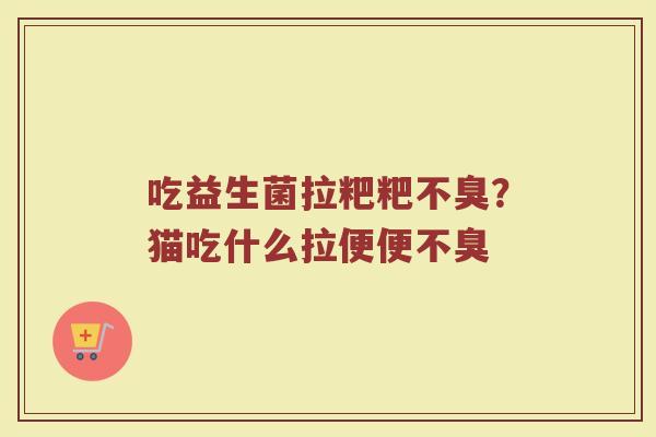 吃益生菌拉粑粑不臭？猫吃什么拉便便不臭