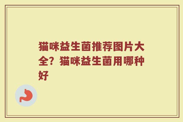 猫咪益生菌推荐图片大全？猫咪益生菌用哪种好