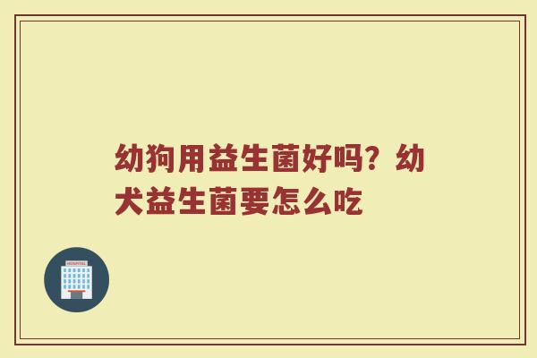 幼狗用益生菌好吗？幼犬益生菌要怎么吃
