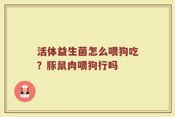 活体益生菌怎么喂狗吃？豚鼠肉喂狗行吗