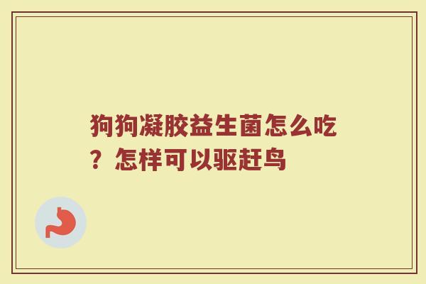 狗狗凝胶益生菌怎么吃？怎样可以驱赶鸟