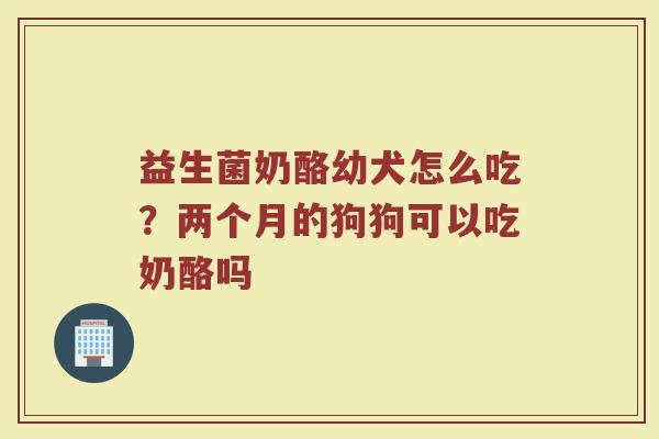 益生菌奶酪幼犬怎么吃？两个月的狗狗可以吃奶酪吗