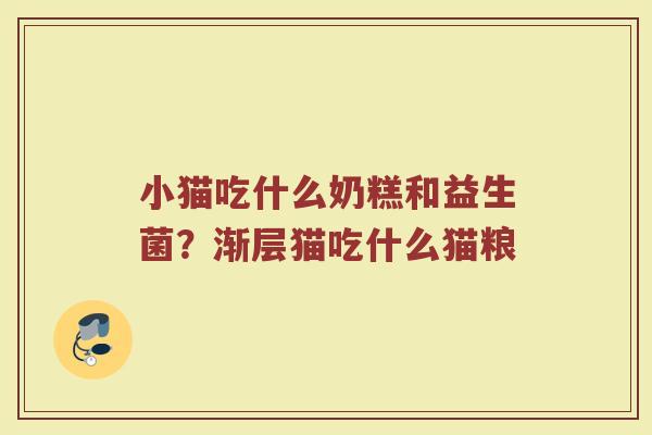 小猫吃什么奶糕和益生菌？渐层猫吃什么猫粮