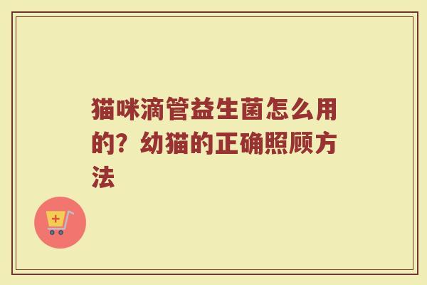 猫咪滴管益生菌怎么用的?幼猫的正确照顾方法 猫咪滴管益生菌怎么用的?幼猫的正确照顾方法