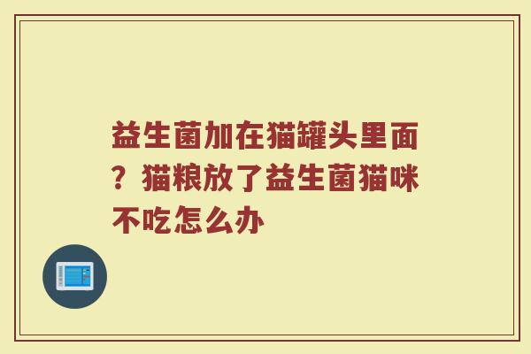 益生菌加在猫罐头里面？猫粮放了益生菌猫咪不吃怎么办