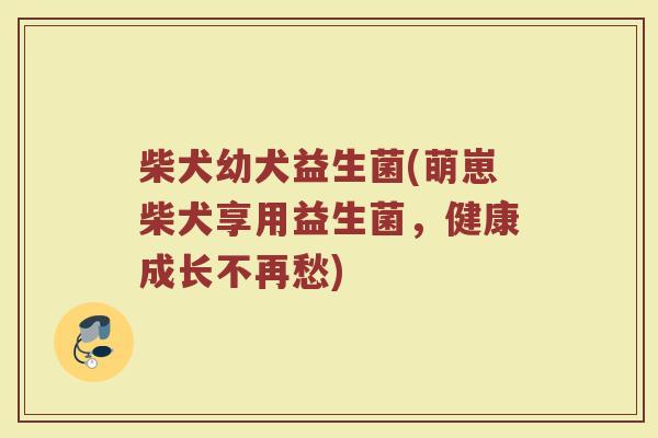 柴犬幼犬益生菌(萌崽柴犬享用益生菌，健康成长不再愁)